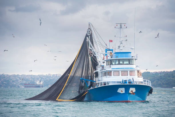 The Different Types of Fishing Vessels: Which One is Right for You